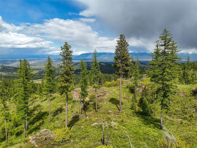 202 Soler Run, Kalispell, MT 59901