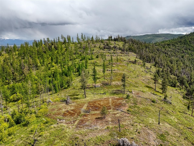 202 Soler Run, Kalispell, MT 59901