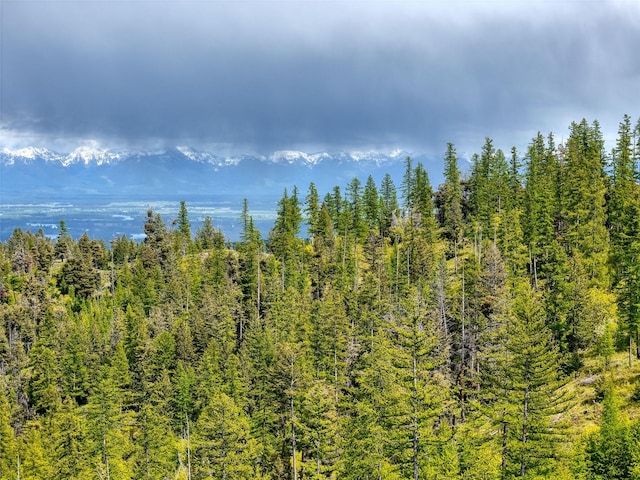 202 Soler Run, Kalispell, MT 59901