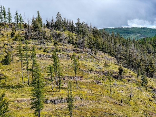 202 Soler Run, Kalispell, MT 59901