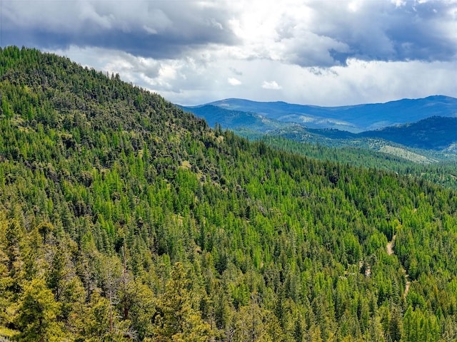 202 Soler Run, Kalispell, MT 59901