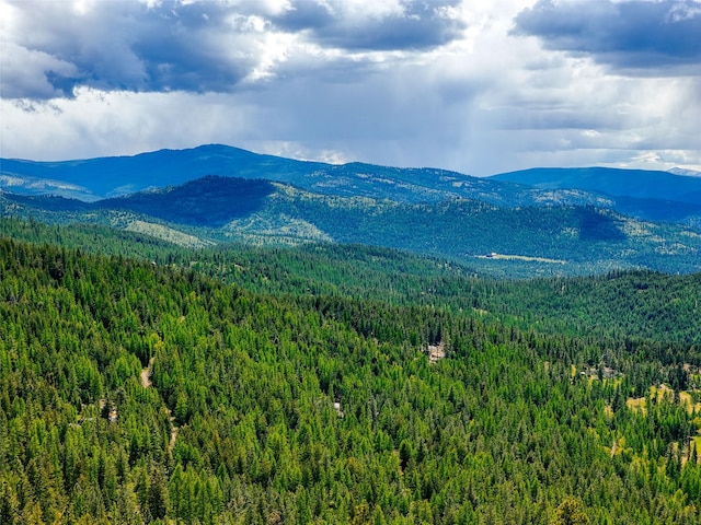202 Soler Run, Kalispell, MT 59901