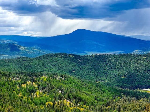 202 Soler Run, Kalispell, MT 59901