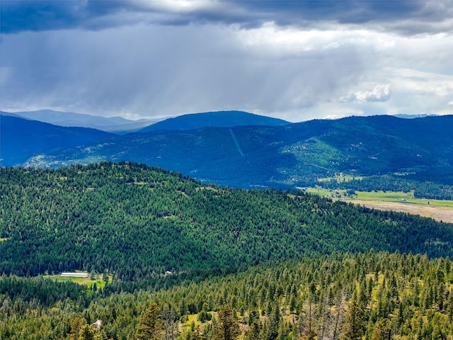 202 Soler Run, Kalispell, MT 59901