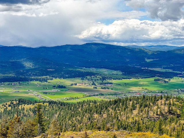 202 Soler Run, Kalispell, MT 59901