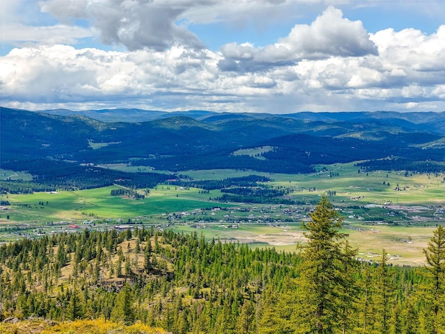 202 Soler Run, Kalispell, MT 59901