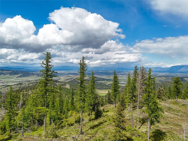 202 Soler Run, Kalispell, MT 59901