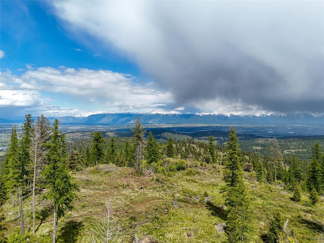 202 Soler Run, Kalispell, MT 59901