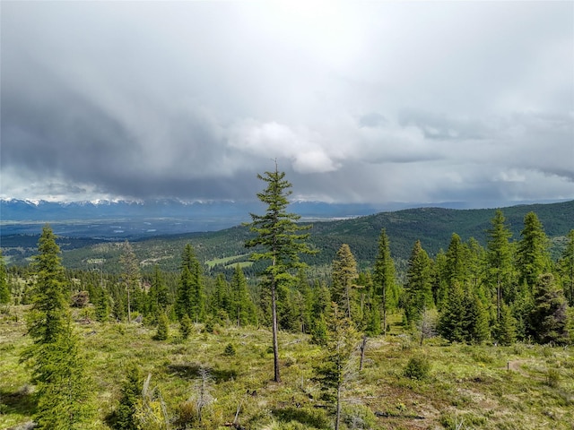 202 Soler Run, Kalispell, MT 59901