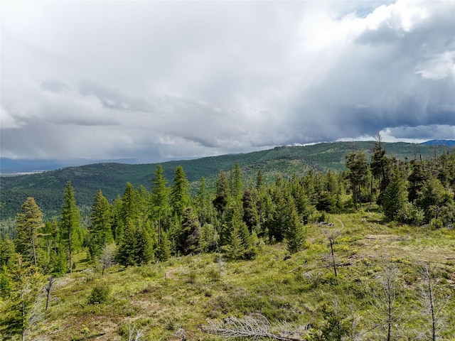 202 Soler Run, Kalispell, MT 59901