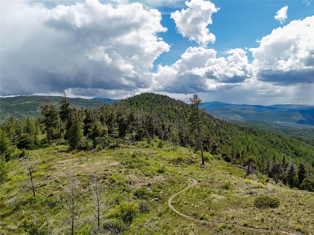 202 Soler Run, Kalispell, MT 59901