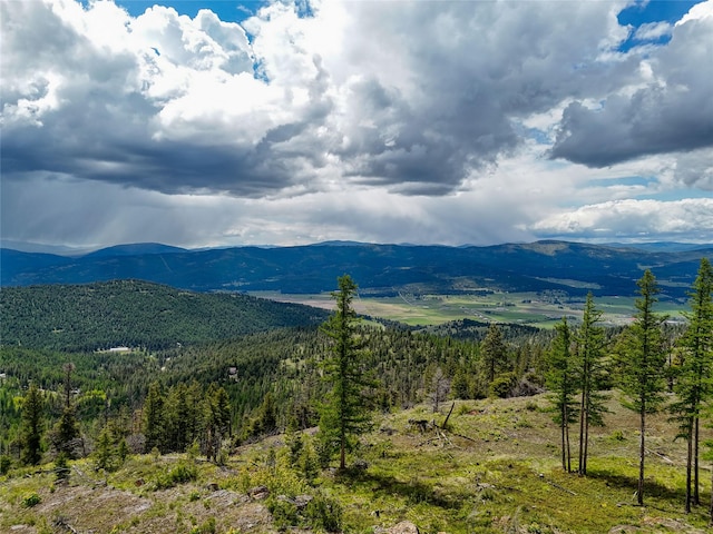 202 Soler Run, Kalispell, MT 59901