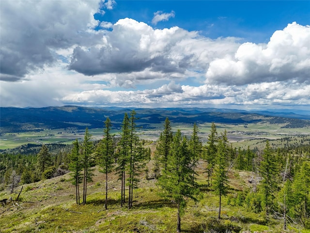 202 Soler Run, Kalispell, MT 59901