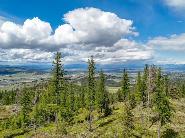 202 Soler Run, Kalispell, MT 59901