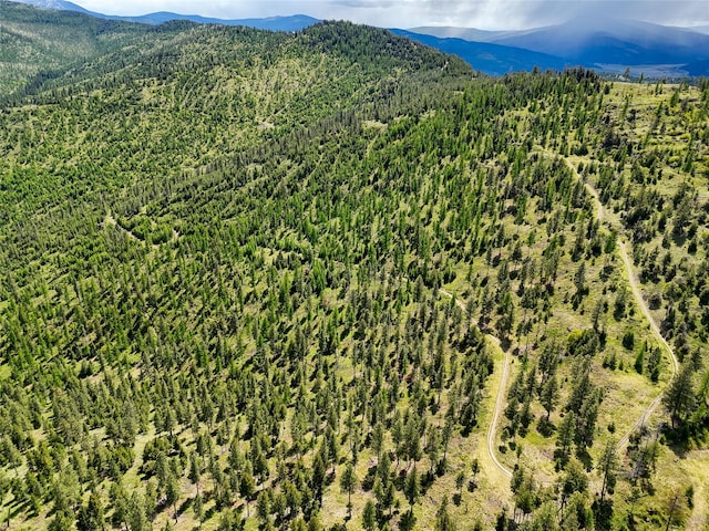 202 Soler Run, Kalispell, MT 59901