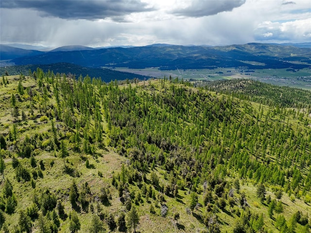 202 Soler Run, Kalispell, MT 59901