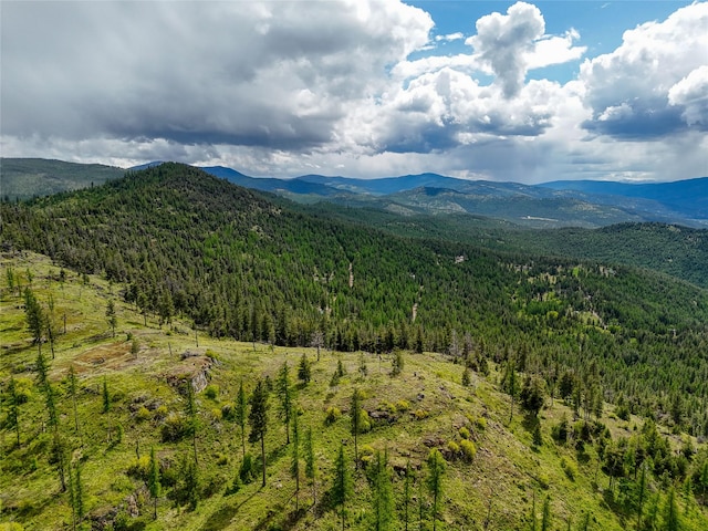202 Soler Run, Kalispell, MT 59901