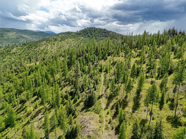 202 Soler Run, Kalispell, MT 59901