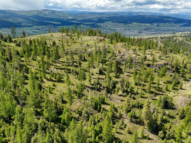 202 Soler Run, Kalispell, MT 59901