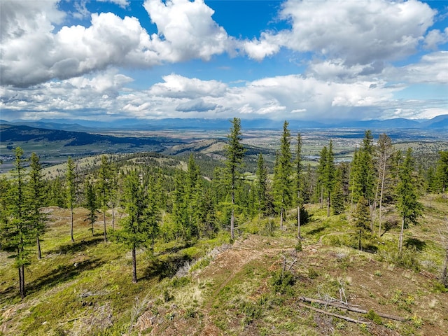 202 Soler Run, Kalispell, MT 59901