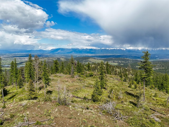 202 Soler Run, Kalispell, MT 59901