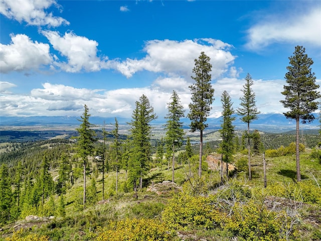 202 Soler Run, Kalispell, MT 59901