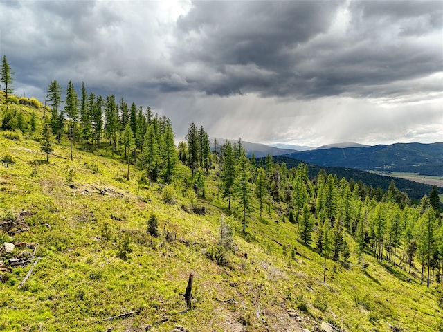 202 Soler Run, Kalispell, MT 59901