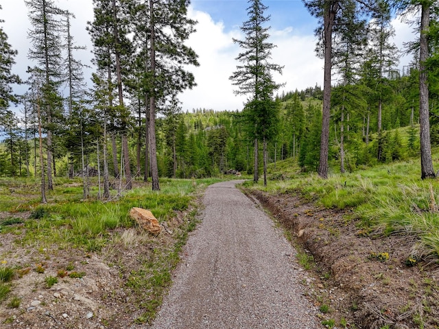 202 Soler Run, Kalispell, MT 59901