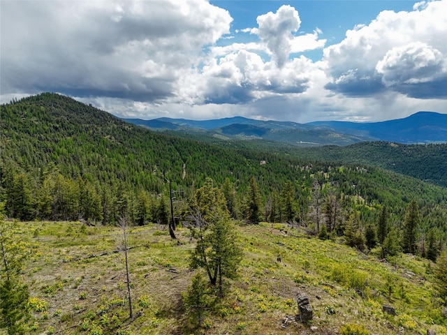 202 Soler Run, Kalispell, MT 59901