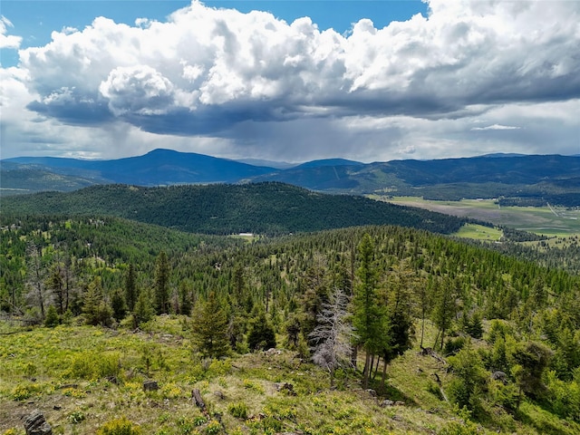 202 Soler Run, Kalispell, MT 59901
