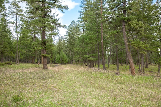 NHN Bowdish Rd, Kalispell, MT 59901