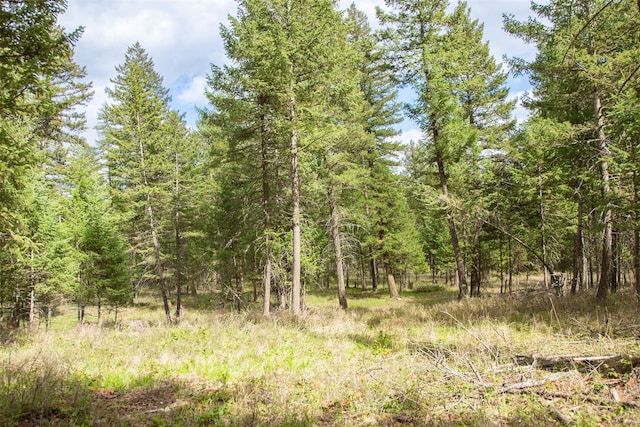 NHN Bowdish Rd, Kalispell, MT 59901