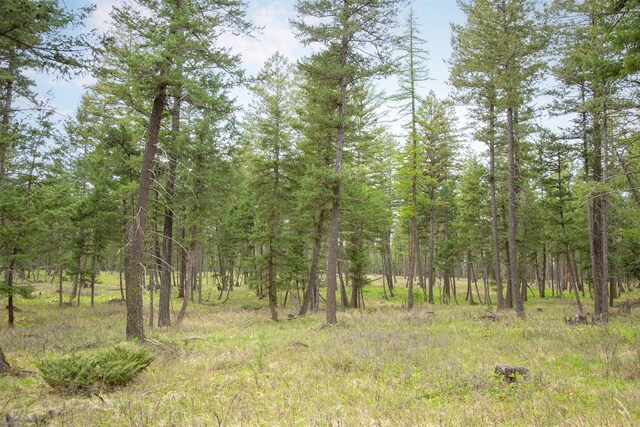 NHN Bowdish Rd, Kalispell, MT 59901