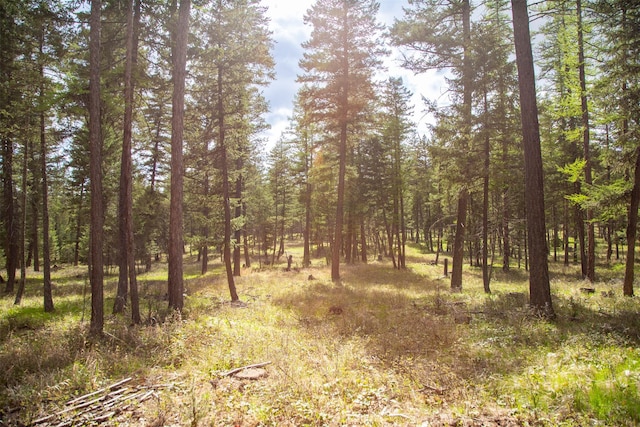 NHN Bowdish Rd, Kalispell, MT 59901
