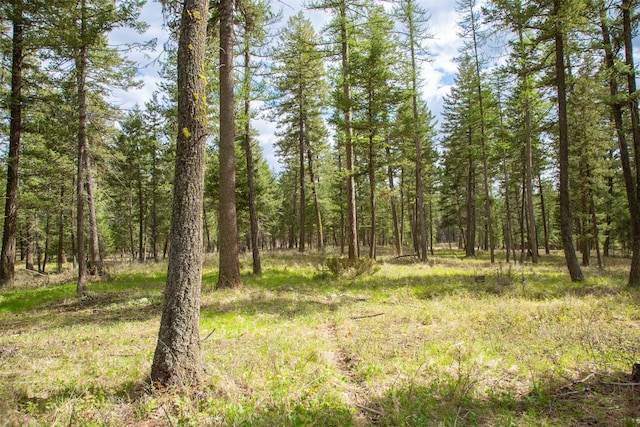 NHN Bowdish Rd, Kalispell, MT 59901