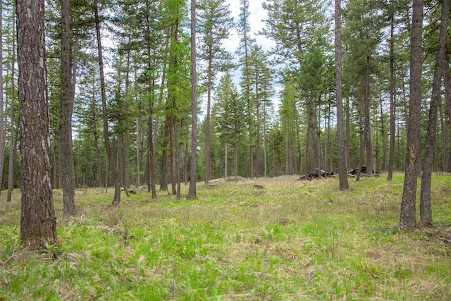 NHN Bowdish Rd, Kalispell, MT 59901