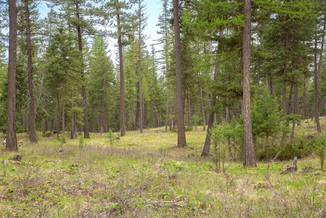 NHN Bowdish Rd, Kalispell, MT 59901
