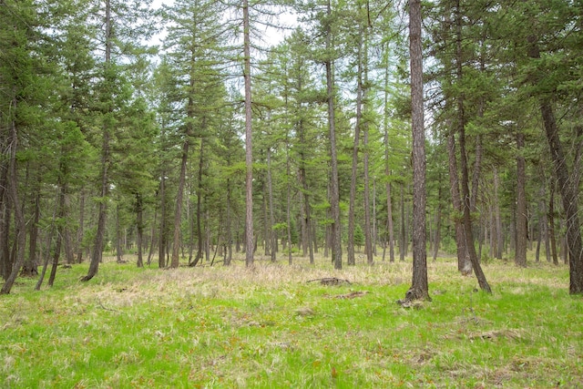 NHN Bowdish Rd, Kalispell, MT 59901