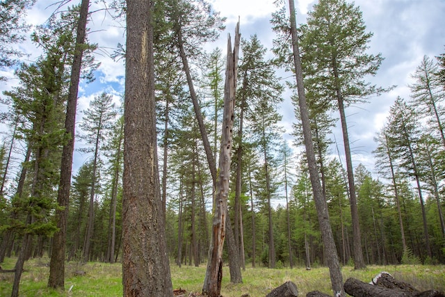 NHN Bowdish Rd, Kalispell, MT 59901