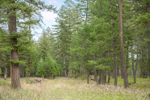 NHN Bowdish Rd, Kalispell, MT 59901