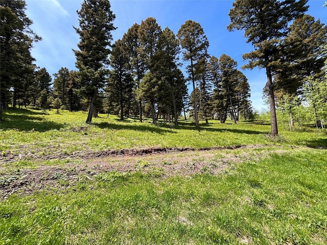 115 Grassy Mountain Rd, White Sulphur Springs, MT 59645 - view of nature
