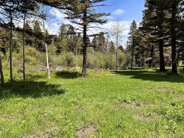 115 Grassy Mountain Rd, White Sulphur Springs, MT 59645 - view of yard