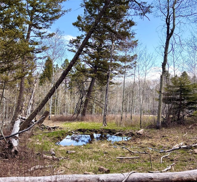 115 Grassy Mountain Rd, White Sulphur Springs, MT 59645 - view of tree filled area