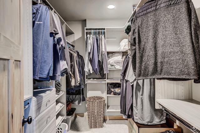 115 Grassy Mountain Rd, White Sulphur Springs, MT 59645 - view of walk in closet