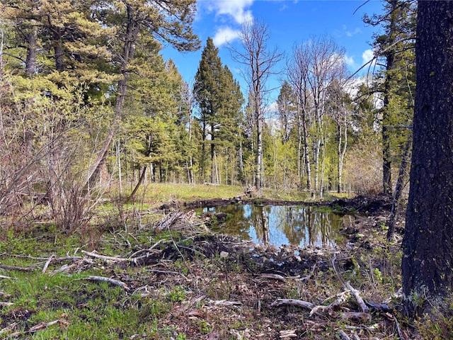 115 Grassy Mountain Rd, White Sulphur Springs, MT 59645 - view of wooded area