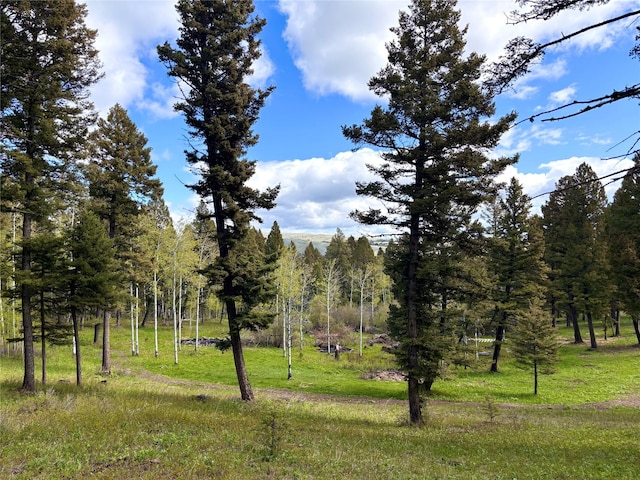 115 Grassy Mountain Rd, White Sulphur Springs, MT 59645 - view of woods