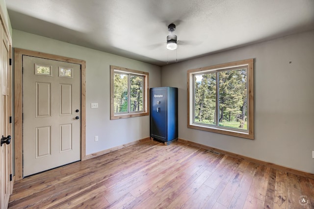 115 Grassy Mountain Rd, White Sulphur Springs, MT 59645 - foyer entrance featuring healthy amount of natural light, a ceiling fan, baseboards, and light wood-type flooring