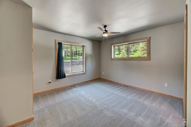 115 Grassy Mountain Rd, White Sulphur Springs, MT 59645 - carpeted empty room with baseboards and plenty of natural light