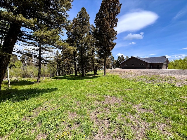 115 Grassy Mountain Rd, White Sulphur Springs, MT 59645 - view of yard featuring driveway