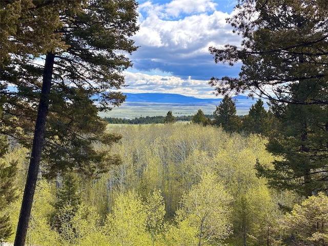 115 Grassy Mountain Rd, White Sulphur Springs, MT 59645 - mountain view with a heavily wooded area
